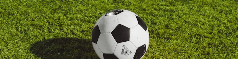 球迷在体育场看台上欢呼庆祝进球的激动场景